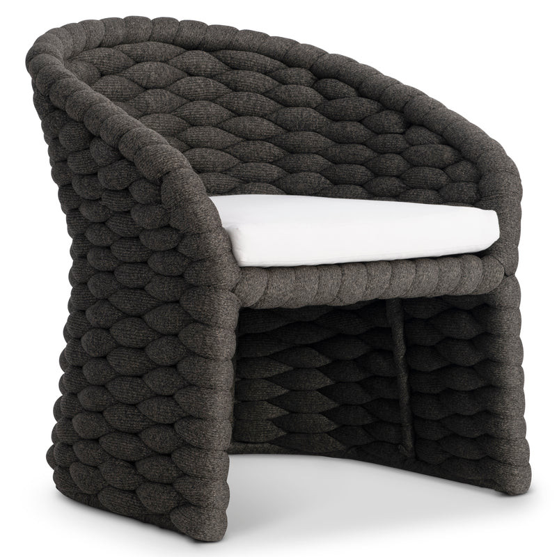Salinas Arm Chair