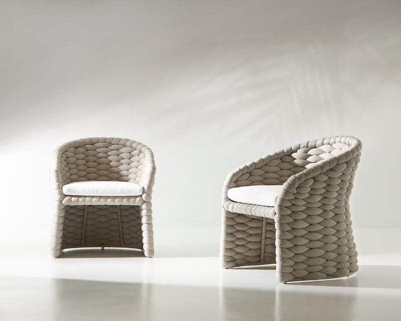 Salinas Arm Chair