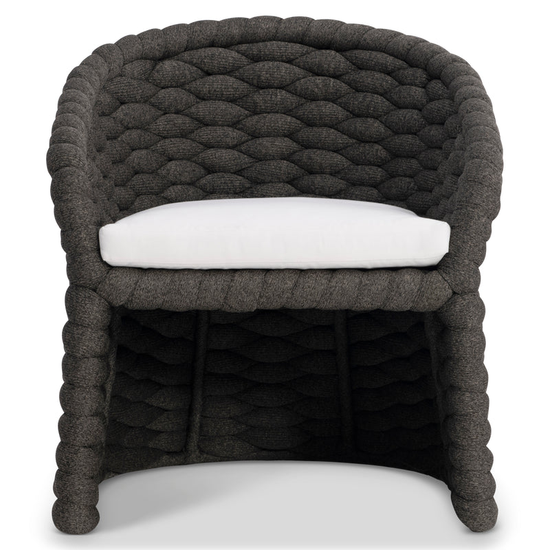 Salinas Arm Chair